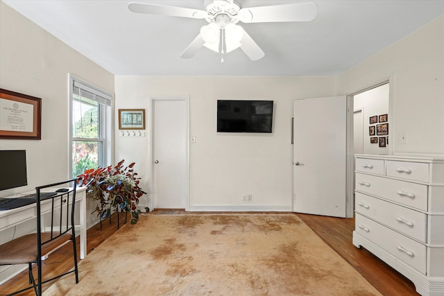 office area featuring wood-type flooring and ceiling fan