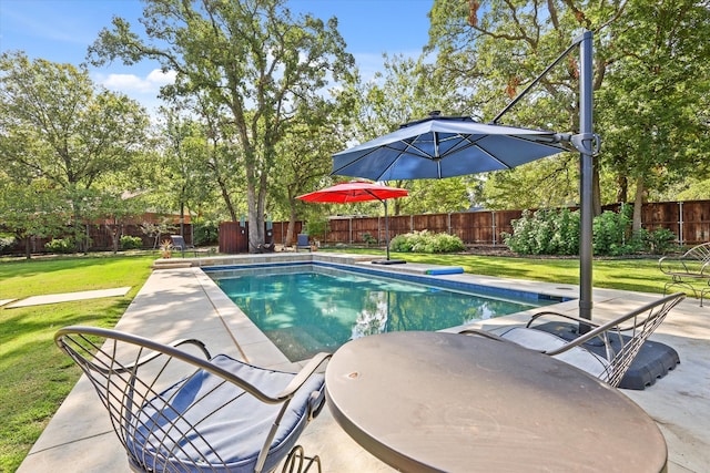 view of swimming pool with a patio and a yard