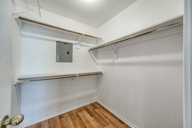 walk in closet featuring hardwood / wood-style flooring and electric panel