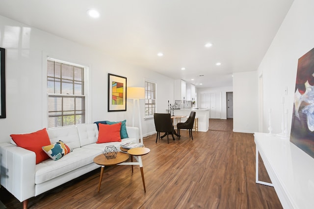 living room with dark hardwood / wood-style flooring