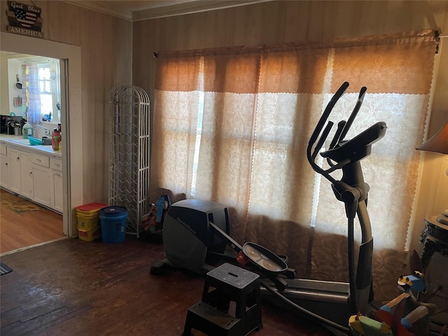 exercise area with crown molding, dark wood-type flooring, sink, and wood walls