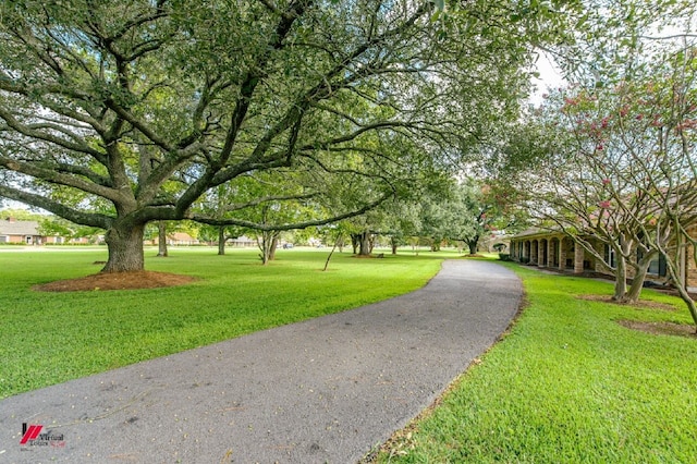 surrounding community with a yard