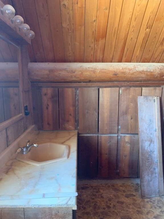 bathroom featuring vanity and wooden walls