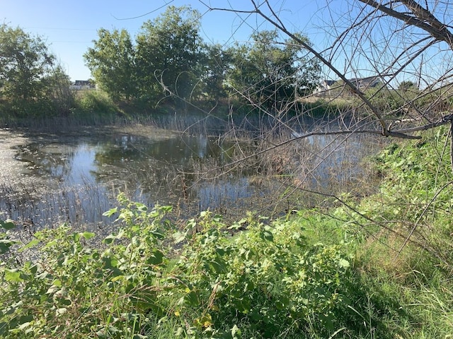 view of water feature