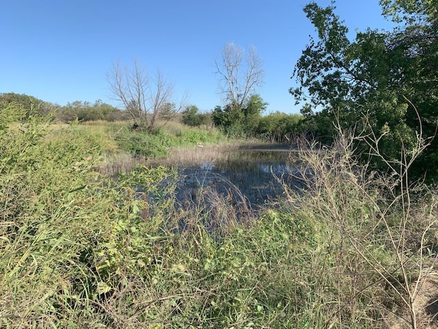 view of local wilderness with a water view