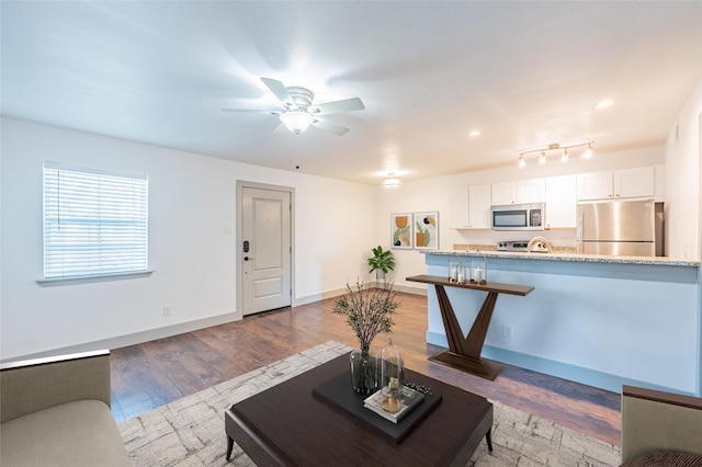 living room with ceiling fan and hardwood / wood-style floors