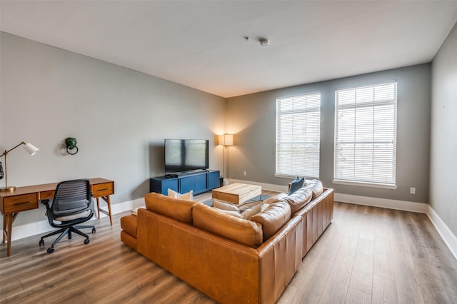 living room featuring light hardwood / wood-style flooring