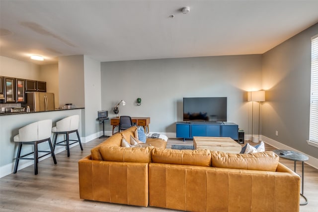 living room featuring light hardwood / wood-style floors