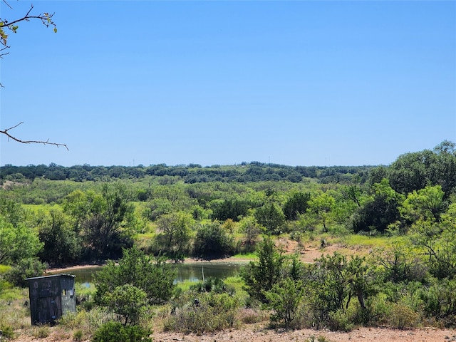 TBD Highway 87, Brady TX, 76825 land for sale