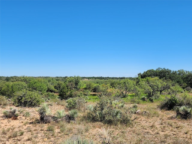 Listing photo 2 for TBD Highway 87, Brady TX 76825