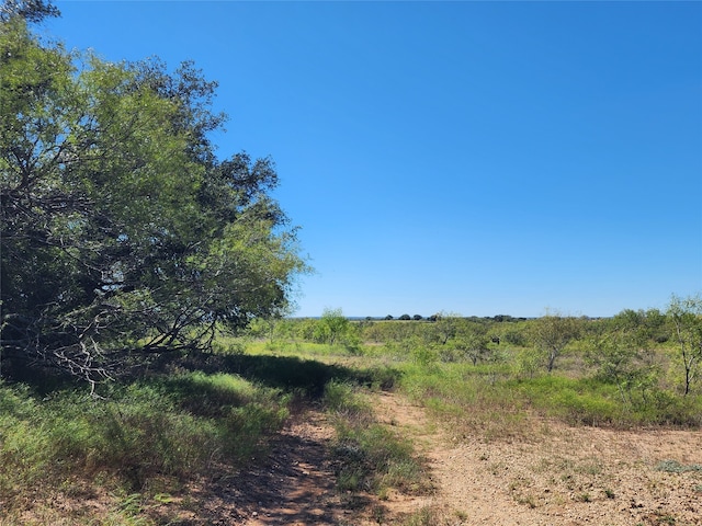 Listing photo 3 for TBD Highway 87, Brady TX 76825