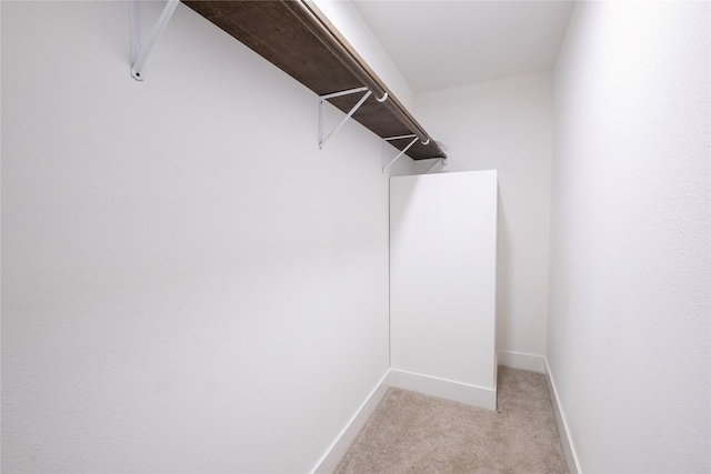 walk in closet with light carpet