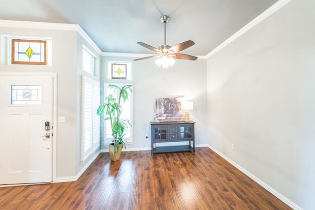 entrance foyer featuring crown molding, dark hardwood / wood-style floors, ceiling fan, and plenty of natural light