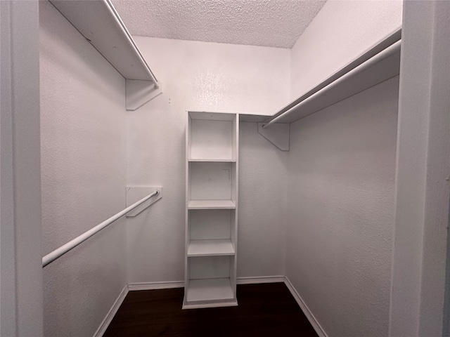 spacious closet with dark wood-type flooring