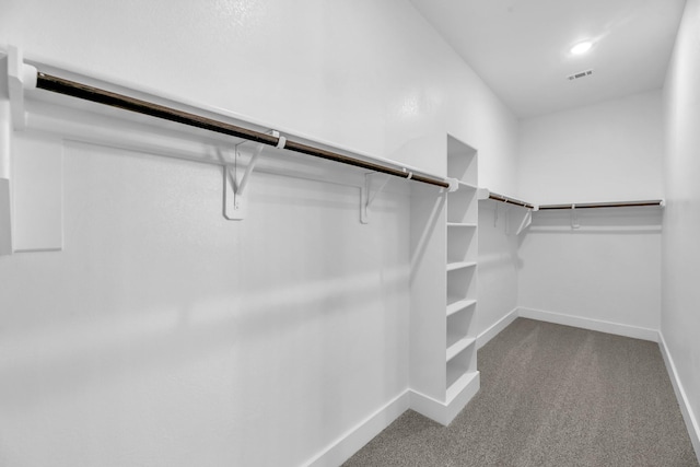 spacious closet featuring light carpet