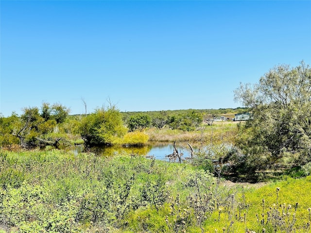 8648 Fm 2287, Cross Plains TX, 76443 land for sale