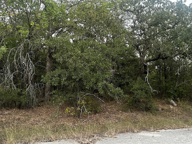 106 Ash Ct, Runaway Bay TX, 76426 land for sale