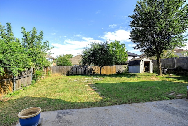 view of yard featuring a storage shed