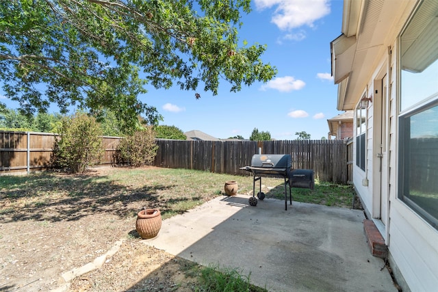 view of yard featuring a patio