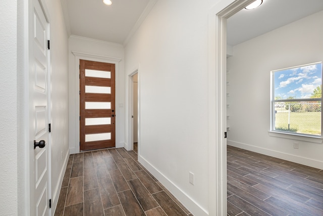 interior space featuring dark hardwood / wood-style floors and crown molding