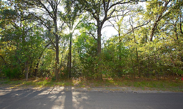 Listing photo 3 for 0 E Beachwood Loop, Trinidad TX 75163