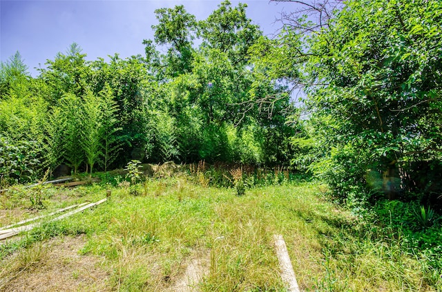 view of landscape