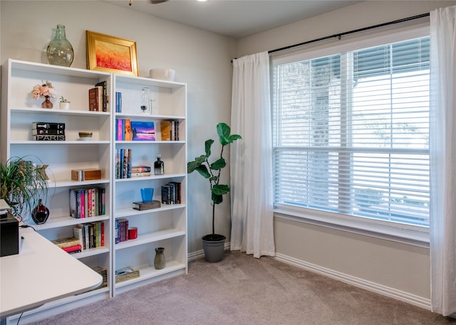 interior space featuring light carpet