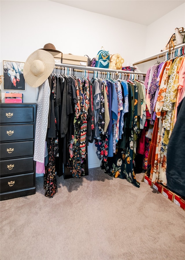 spacious closet featuring carpet