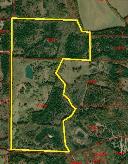 TBD County Road 3045, Dodd City TX, 75438 land for sale