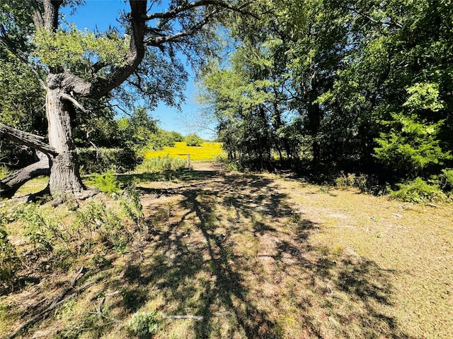 Listing photo 3 for TBD County Road 3045, Dodd City TX 75438