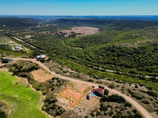 223 Oak Tree Dr, Possum Kingdom Lake TX, 76449 land for sale