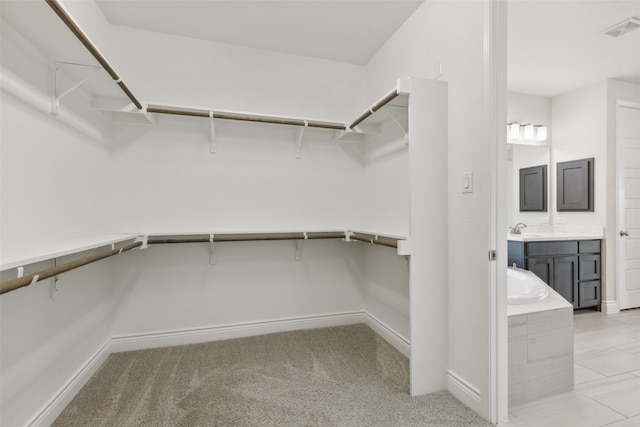 spacious closet with sink and light colored carpet