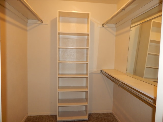 spacious closet featuring carpet