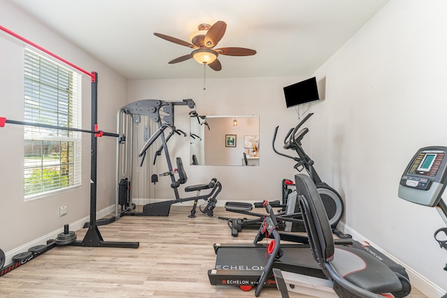 exercise area with light hardwood / wood-style flooring and ceiling fan