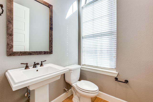 bathroom featuring toilet, plenty of natural light, and sink