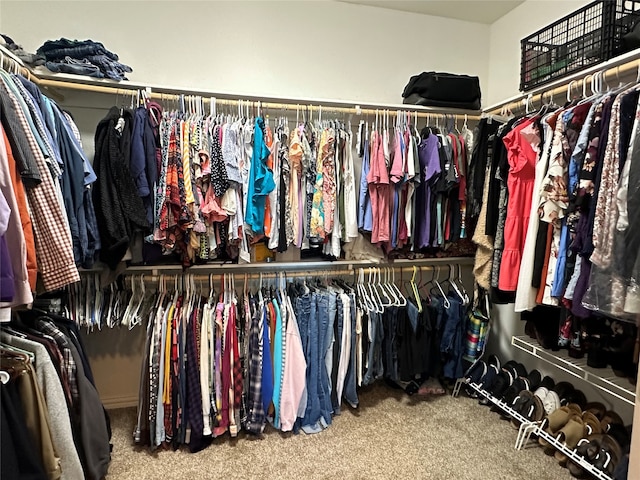 spacious closet with carpet flooring