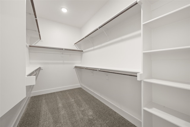 walk in closet with dark carpet