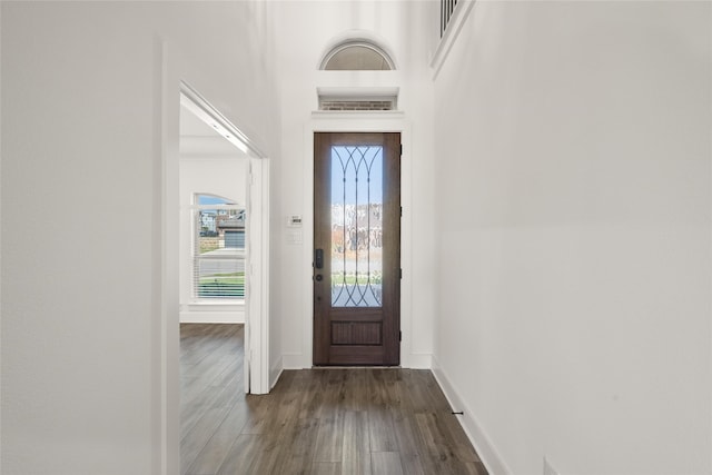 entrance foyer with dark wood-type flooring