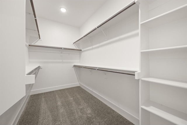 walk in closet with carpet flooring