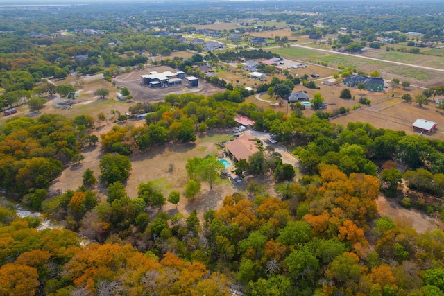 drone / aerial view