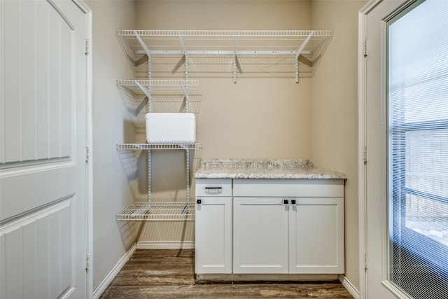 spacious closet featuring dark hardwood / wood-style flooring