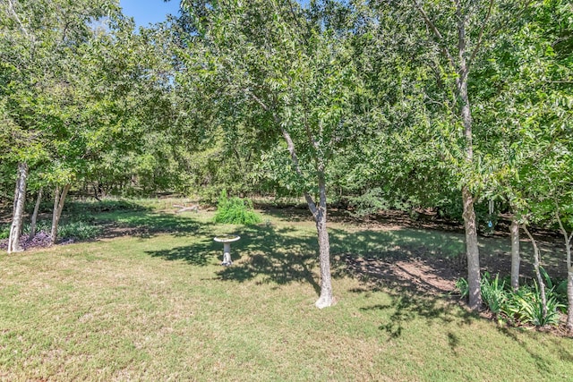 view of yard with a water view