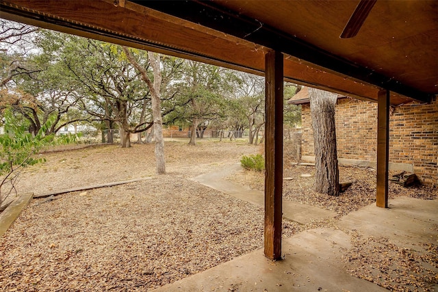 view of yard featuring a patio area