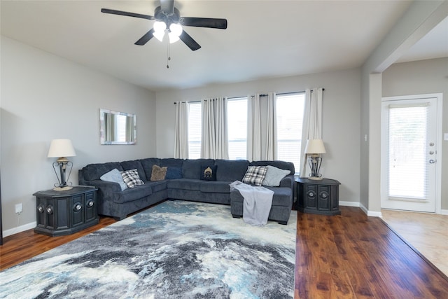 living room featuring ceiling fan, plenty of natural light, and dark wood-type flooring