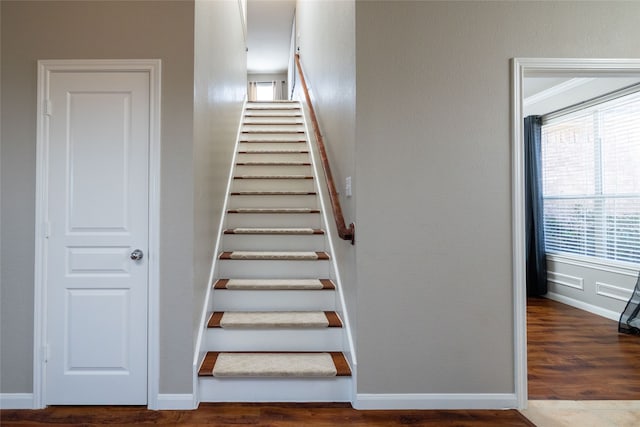 stairway featuring wood-type flooring