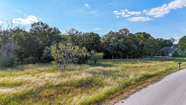 417 Acorn Trl, Granbury, TX 76049
