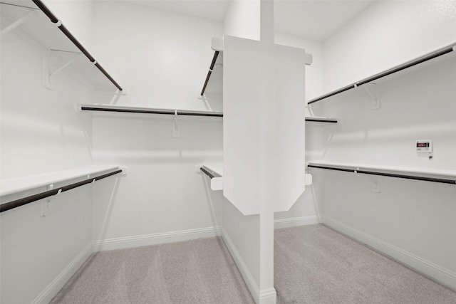 spacious closet with light carpet