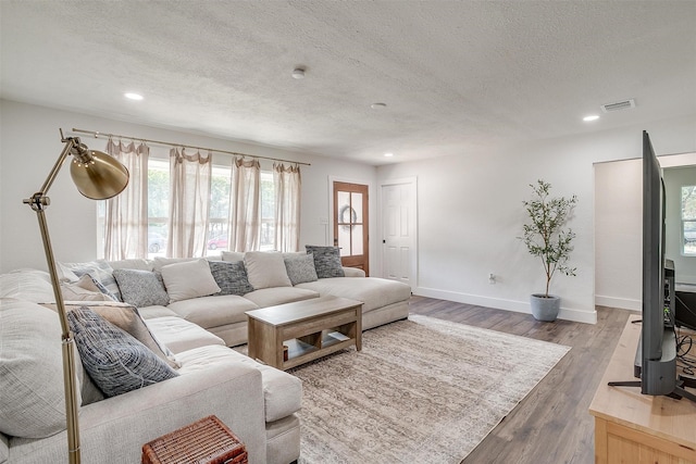 living room featuring a textured ceiling and wood-type flooring