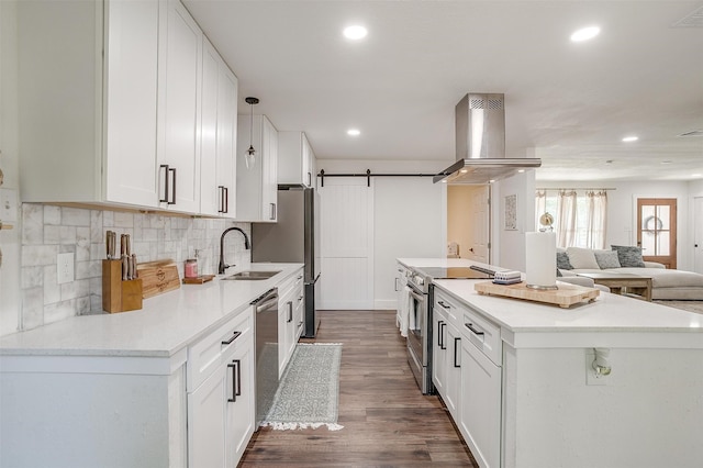 kitchen with white cabinets, a barn door, stainless steel appliances, island exhaust hood, and sink