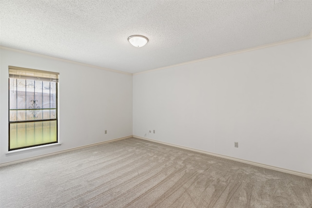 carpeted spare room featuring crown molding and a textured ceiling